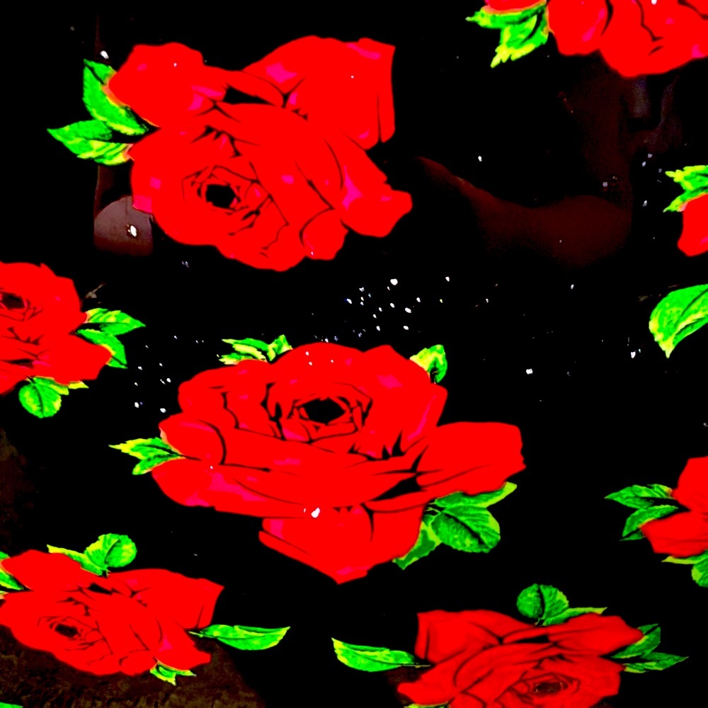 Betsey Johnson roses suitcase New - Picture 6 of 10
